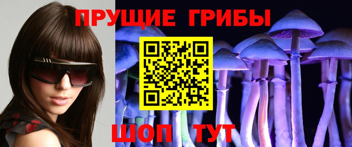 Осинники  Галлюциногенные грибы Psilocybine cubensis  Вход с VPN 